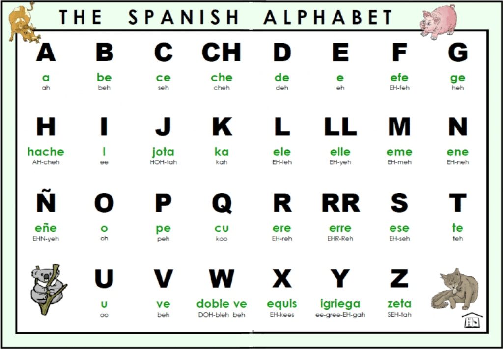 Spanish Alphabet Letters