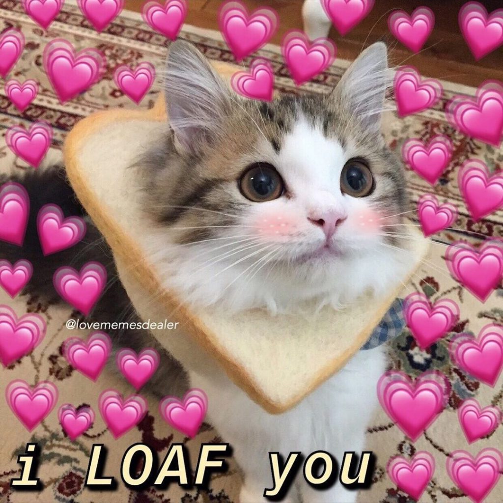How Do You Say Love In Spanish Wanderlust Spanish