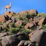 Argentina’s National Parks: A comprehensive guide