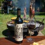 ‘Fiesta de la Vendimia in Argentina’: Celebrate Argentina’s wine harvest like a local